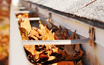 Arpafeelie gutter cleaning companies