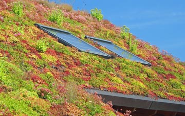 Arpafeelie living roof systems