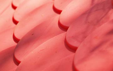 Arpafeelie plastic roof costs