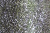 Arpafeelie fibreglass roof work