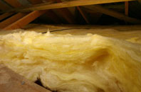 Arpafeelie pitch roof insulation